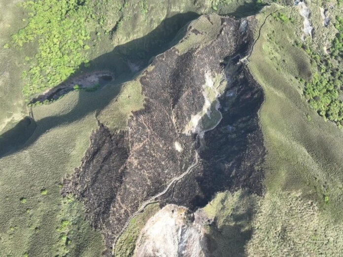 Air quality sensor investigated as possible cause of Yangmingshan fire